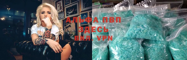 гидра Каменка